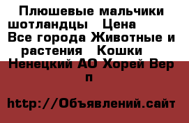 Плюшевые мальчики шотландцы › Цена ­ 500 - Все города Животные и растения » Кошки   . Ненецкий АО,Хорей-Вер п.